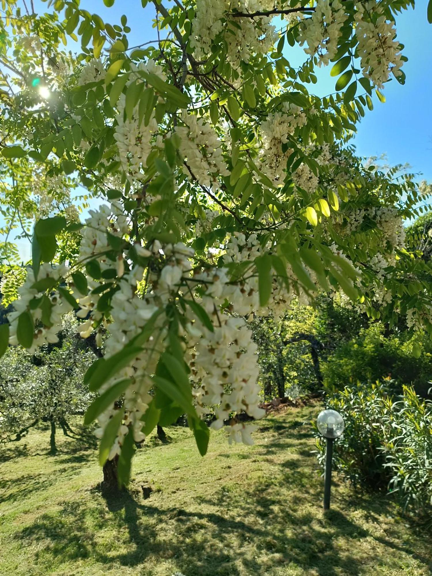 Le Massucce San Casciano in Val di Pesa Luaran gambar