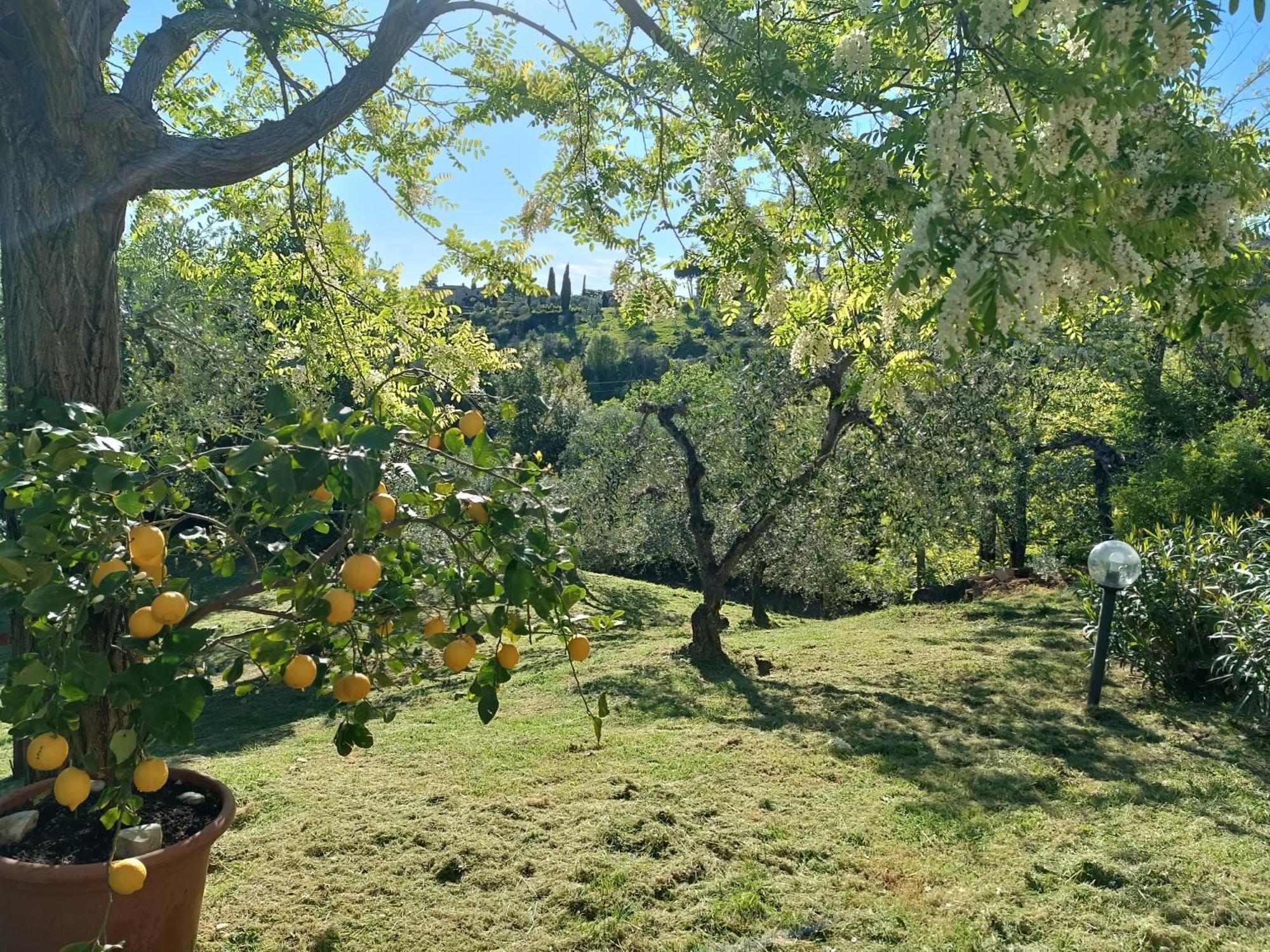 Le Massucce San Casciano in Val di Pesa Luaran gambar