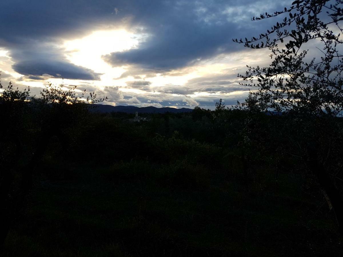Le Massucce San Casciano in Val di Pesa Luaran gambar