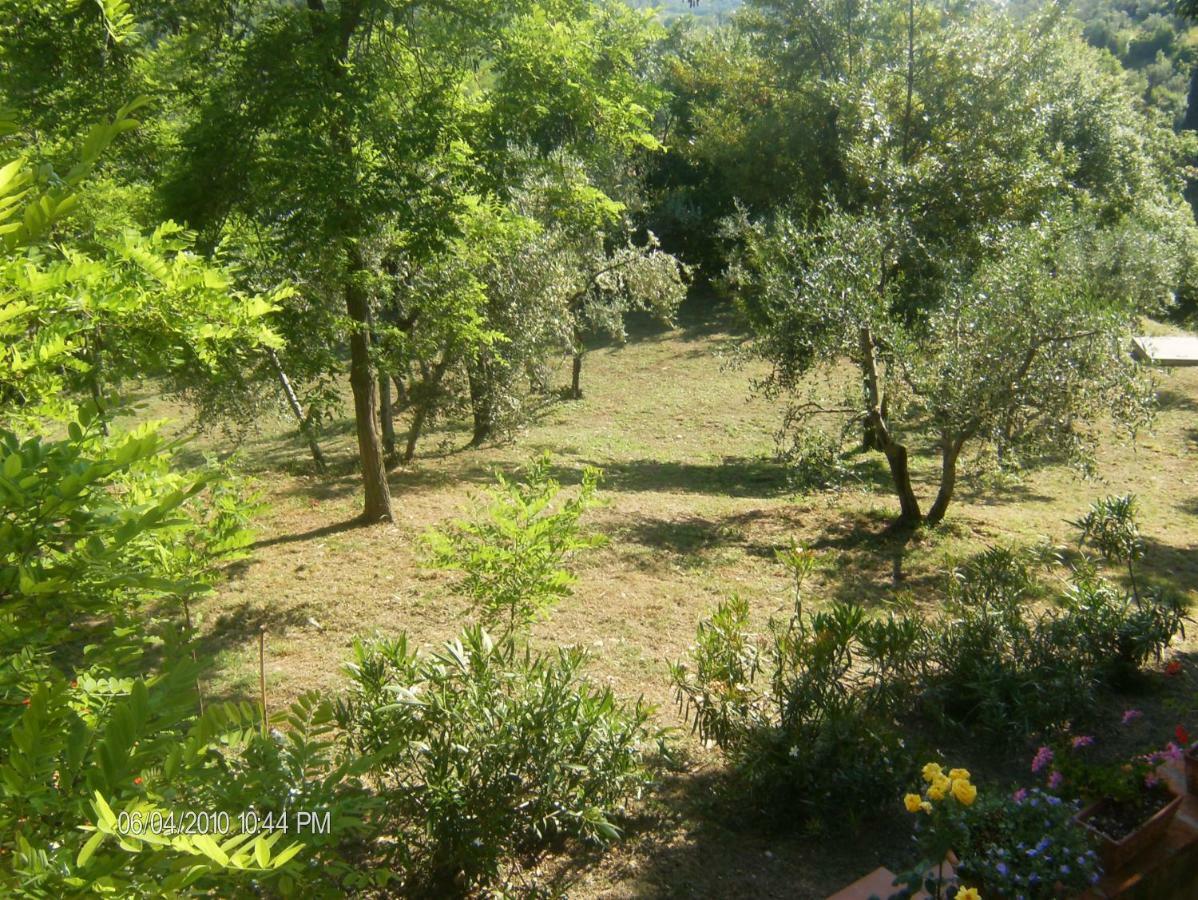 Le Massucce San Casciano in Val di Pesa Luaran gambar