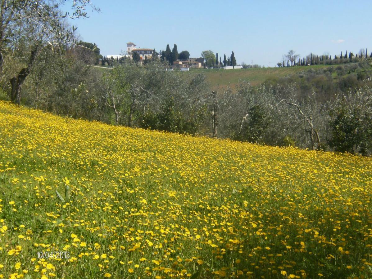 Le Massucce San Casciano in Val di Pesa Luaran gambar