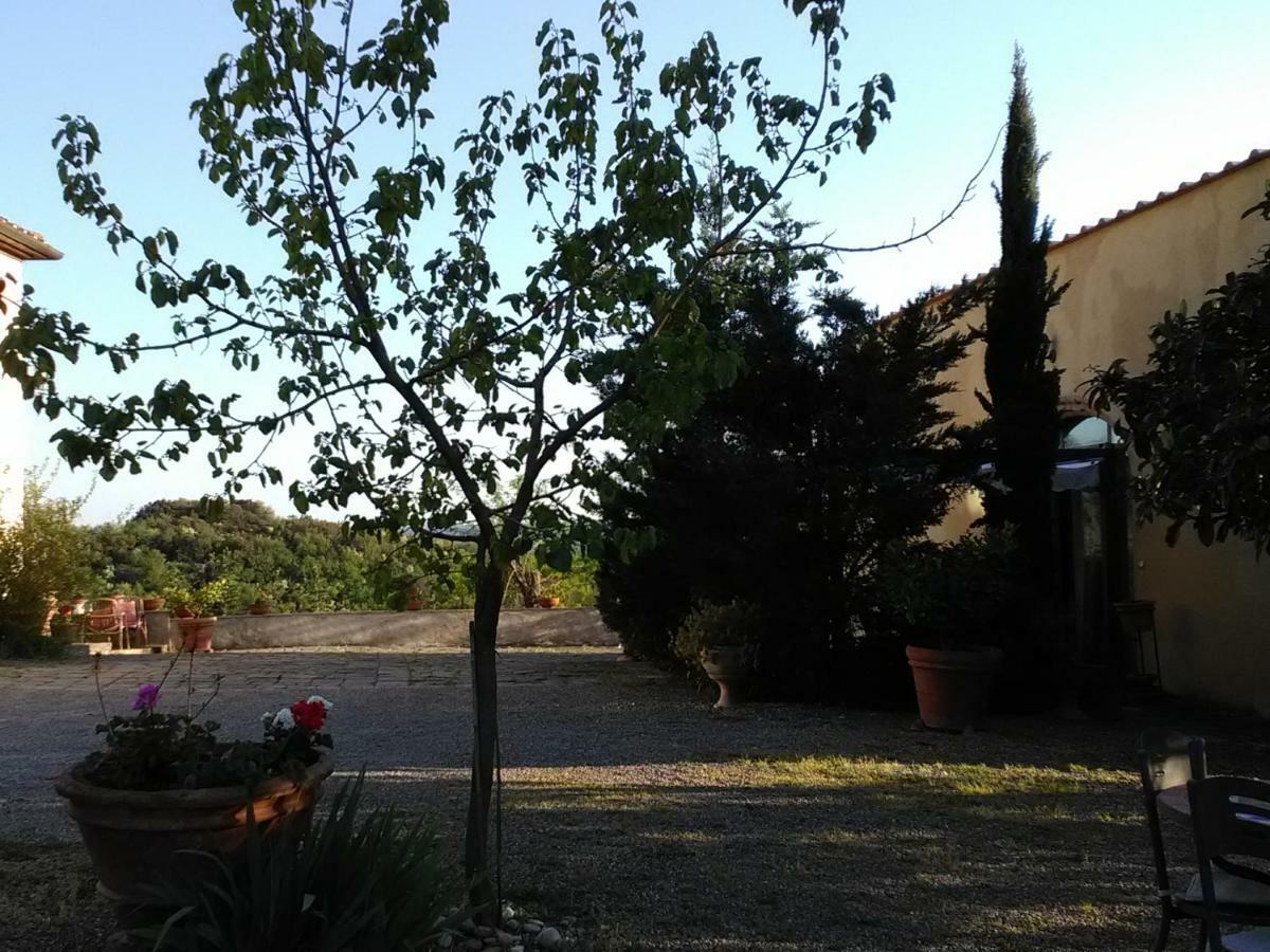 Le Massucce San Casciano in Val di Pesa Luaran gambar