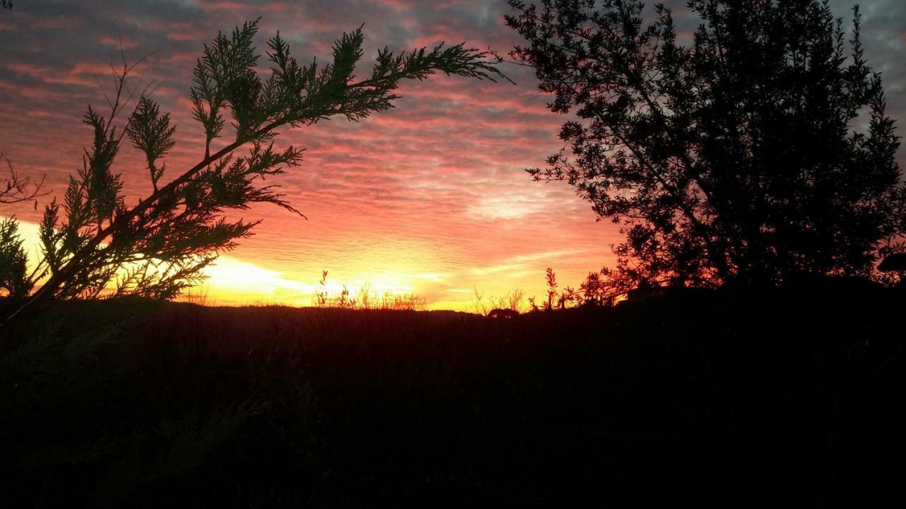 Le Massucce San Casciano in Val di Pesa Luaran gambar